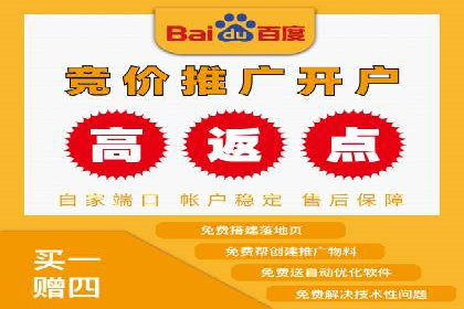 成功案例解析：SEO与SEM协同营销策略